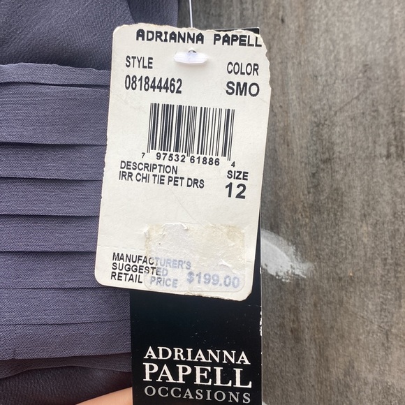 NWT Adrianna Papell Occasions Smokey Grey Full Length Dress - Picture 6 of 7